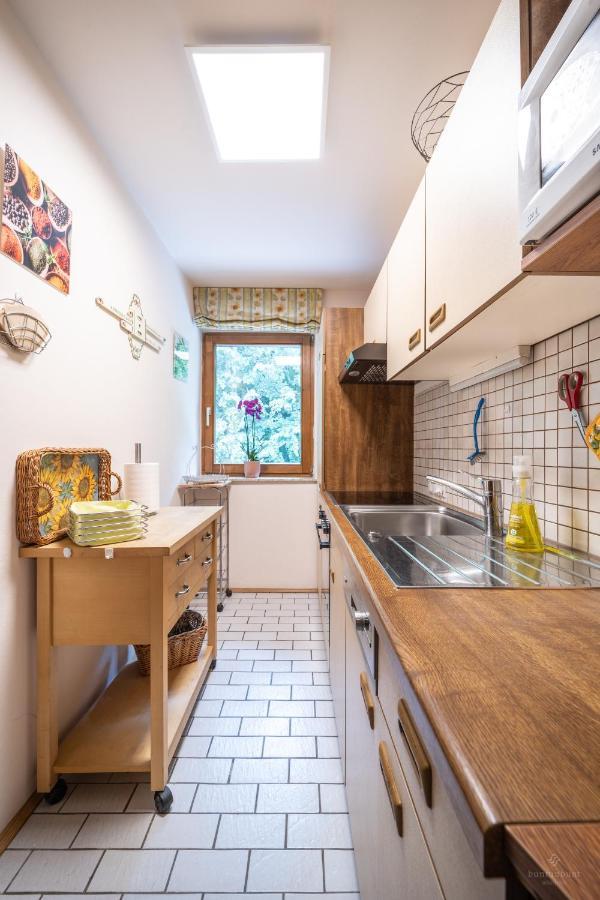 Haus Marianne Apartment Hof bei Salzburg Luaran gambar